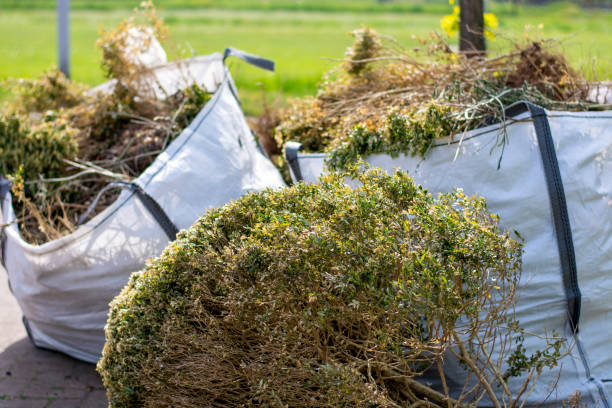 Best Attic Cleanout Services  in Ocean Pointe, HI